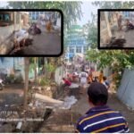 Dikomandoi Ketua RT Baru, Warga Blok M Dusun Karangtengah Gotong royong Bersihkan Got