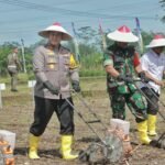 Kapolda Jatim dan Pj.Gubernur Tanam Jagung Serentak 1 Juta Hektar di Blitar Untuk Ketahanan Pangan Nasional