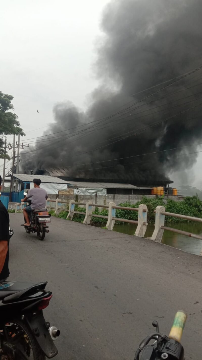 Gambar. Tampak asap hitam pekat keluar dari perusahan pemotongan unggas PT SFC.(Foto.ist)