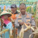 Polres Mojokerto Panen Raya Jagung Hasil Olah Lahan Tidur untuk Ketahanan Pangan