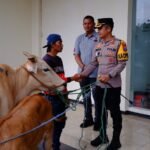 Polres Bondowoso Berhasil Temukan dan Kembalikan 3 ekor Sapi yang Hilang Pemilik Tersenyum Riang