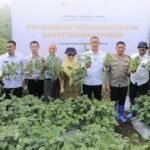 Kakanwil Panen Kedelai Edamame di SAE Ngajum Malang