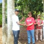 Melestarikan Lingkungan, Pegiat Pariwisata Tanam Mangrove di Pantai Tanjung Sugu
