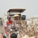 Kapolda Jawa Timur dan Forkopimda Panen Raya Jagung di Prambon Sidoarjo