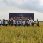 Nusakambangan Panen Perdana, Bangun Lumbung Ketahanan Pangan dan Beri Kesempatan Warga Binaan