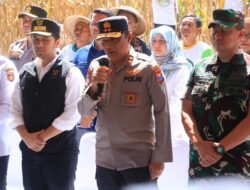 Dukung Swasembada Pangan, Kapolda Jatim Bersama Forkopimda Panen Raya Jagung Kuartal II di Ngawi