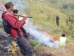 Kebakaran Lereng Gunung Arjuno Akhirnya Berhasil Dipadamkan Setelah Upaya Warga