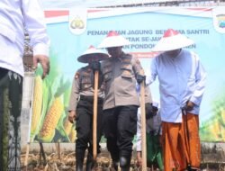Dukung Swasembada Pangan, Polres Pasuruan Tanam Jagung Serentak Bersama Santri Ponpes Sabilunnajah