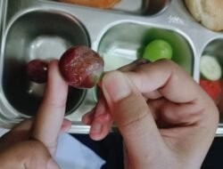 Makanan Berulat hingga Berdarah Terdapat dalam Program Makan Bergizi Gratis di SMKN 1 Bangil