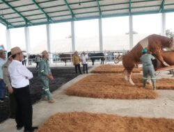 Dari Limbah ke Nilai Tambah: Inovasi Alas Sapi Sabut Kelapa Lapas Tulungagung Dukung Kemandirian Warga Binaan