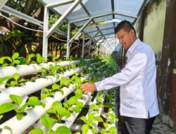 Budi Daya Penuh Makna, Rutan Bangil Wujudkan Ketahanan Pangan bagi Warga Binaan