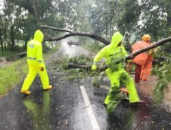 Respon Cepat Polisi dan BPBD Evakuasi Pohon Tumbang, Jalur Magetan – Bendo Kembali Lancar