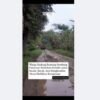 Jalan Rusak dan Becek di Desa Kedung Banteng Pasuruan Viral, Warga Keluhkan Akses Mobilitas Terganggu