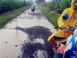 Jalan Rusak Parah di Desa Mulyorejo, Warga dan LSM Desak Perbaikan Segera