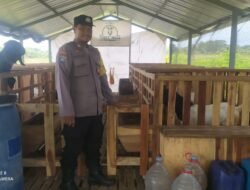 Aipda Agus, Bhabinkamtibmas yang Sukses Wujudkan Kemandirian Ekonomi dari Peternakan Domba