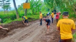 Polsek Winongan dan Warga Bersinergi Pulihkan Akses Jalan Pascabanjir di Prodo