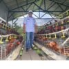 Sukses, Kepala Desa Pejangkungan Manfaatkan Dana Desa untuk Budi Daya Ayam Petelur