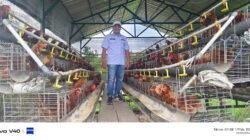 Sukses, Kepala Desa Pejangkungan Manfaatkan Dana Desa untuk Budi Daya Ayam Petelur