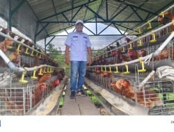 Sukses, Kepala Desa Pejangkungan Manfaatkan Dana Desa untuk Budi Daya Ayam Petelur