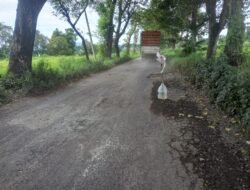 Jalan Rusak di Rembang Pasuruan Ancam Keselamatan Pengendara, Warga Minta Perbaikan Segera