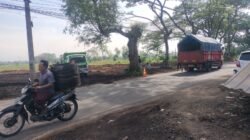 Satpol PP Pasuruan Geram Aktivitas Lahan di Winongan Diduga Langgar Aturan, Izin Tak Jelas