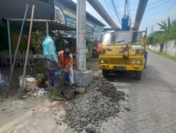 ‎Gerak Cepat! PLN Ganti Tiang Listrik Retak di Perbatasan Pasuruan Dua Pekan Setelah Keluhan Warga