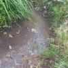 Irigasi di Sumberglagah Tak Berpondasi, Puluhan Hektare Sawah Terancam Gagal Panen