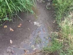 Irigasi di Sumberglagah Tak Berpondasi, Puluhan Hektare Sawah Terancam Gagal Panen