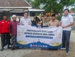 Wujud Kepedulian Lingkungan, PT Tirta Fresindo Jaya Pasuruan Plant 2 Salurkan Hewan Kurban saat Idul Adha