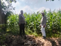 Polisi Turun ke Sawah, Pantau Tanaman Hortikultura demi Ketahanan Pangan Nasional