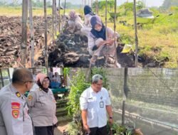 Dukung Program Ketahanan Pangan Presiden, Polres Pasuruan Bersama SMKN 1 Purwosari Kembangkan Budidaya Uwi Ungu