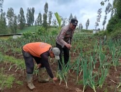 Polisi Turun ke Kebun Bawang Prei, Dorong Warga Aktif Bertanam untuk Ketahanan Pangan
