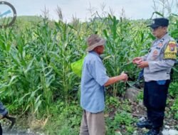 Pantau Lahan Jagung Petani, Polres Pasuruan Kawal Sukses Swasembada Pangan