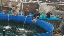 Babinkamtibmas Polsek Bangil Dampingi Warga Tambakan Kembangkan Budidaya Lele di Pekarangan