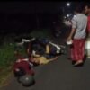Kecelakaan Adu Banteng, Dua Warga Sumberglagah Kecamatan Rembang Mengalami Luka-Luka