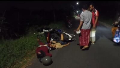 Kecelakaan Adu Banteng, Dua Warga Sumberglagah Kecamatan Rembang Mengalami Luka-Luka