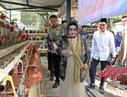 Disambut Hadrah hingga Panen Telur, Komisi XIII DPR RI Tinjau Langsung Pembinaan di Lapas Pasuruan