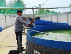 Bhabinkamtibmas Polsek Rembang Pantau Budidaya Lele, Dukung Ketahanan Pangan Nasional