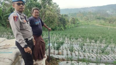 Bhabinkamtibmas Polsek Nongkojajar Pantau Tanaman Cabai, Dukung Program Pekarangan Pangan Bergizi di Tutur