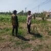 Bhabinkamtibmas Polsek Sukorejo Dorong Pemanfaatan Lahan Produktif untuk Dukung Ketahanan Pangan Nasional