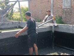 Pantau Budidaya Lele di Genengwaru, Bhabinkamtibmas Pastikan Pertumbuhan Ikan Berjalan Baik