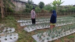 Polri Dampingi Program Pekarangan Pangan Bergizi di Desa Pungging
