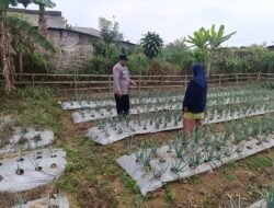 Polri Dampingi Program Pekarangan Pangan Bergizi di Desa Pungging