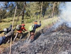 ‎Antisipasi Karhutla Merembet, Polsek Nongkojajar Sebar Tim di Bukit Keciri