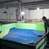 Polresta Sidoarjo Bongkar Dua Arena Sabung Ayam dalam Sehari, Ini Kata Kapolsek Candi dan Krian