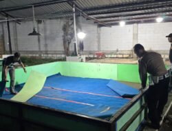 Polresta Sidoarjo Bongkar Dua Arena Sabung Ayam dalam Sehari, Ini Kata Kapolsek Candi dan Krian