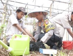 Polres Pasuruan Dukung Ketahanan Pangan, Tanam Uwi Ungu dan Panen Melon di SMKN 1 Purwosari